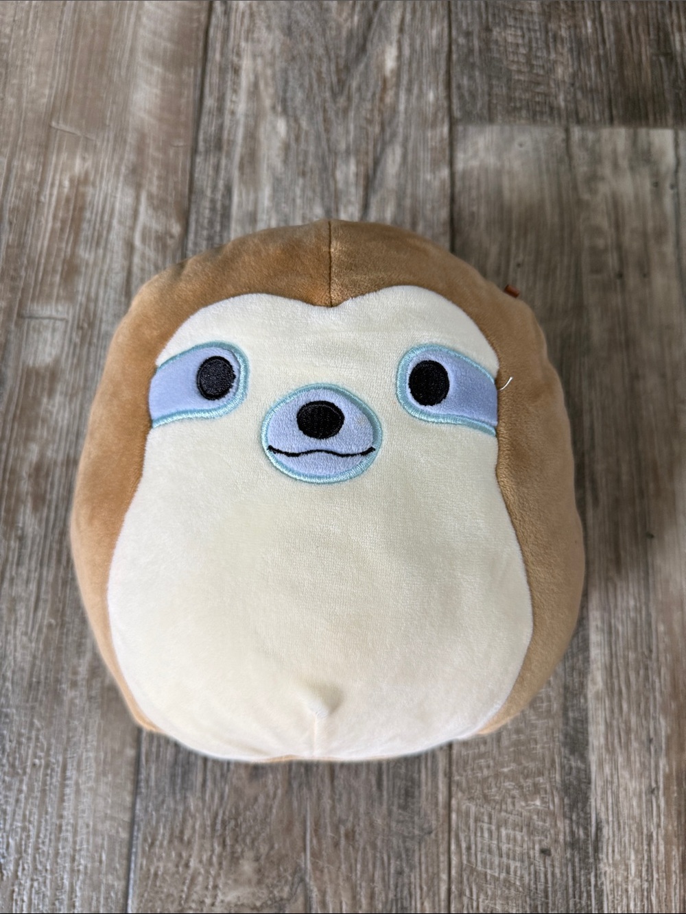 🌟Kellytoy Simon 🌟Sloth Plush
Stuffed Animal